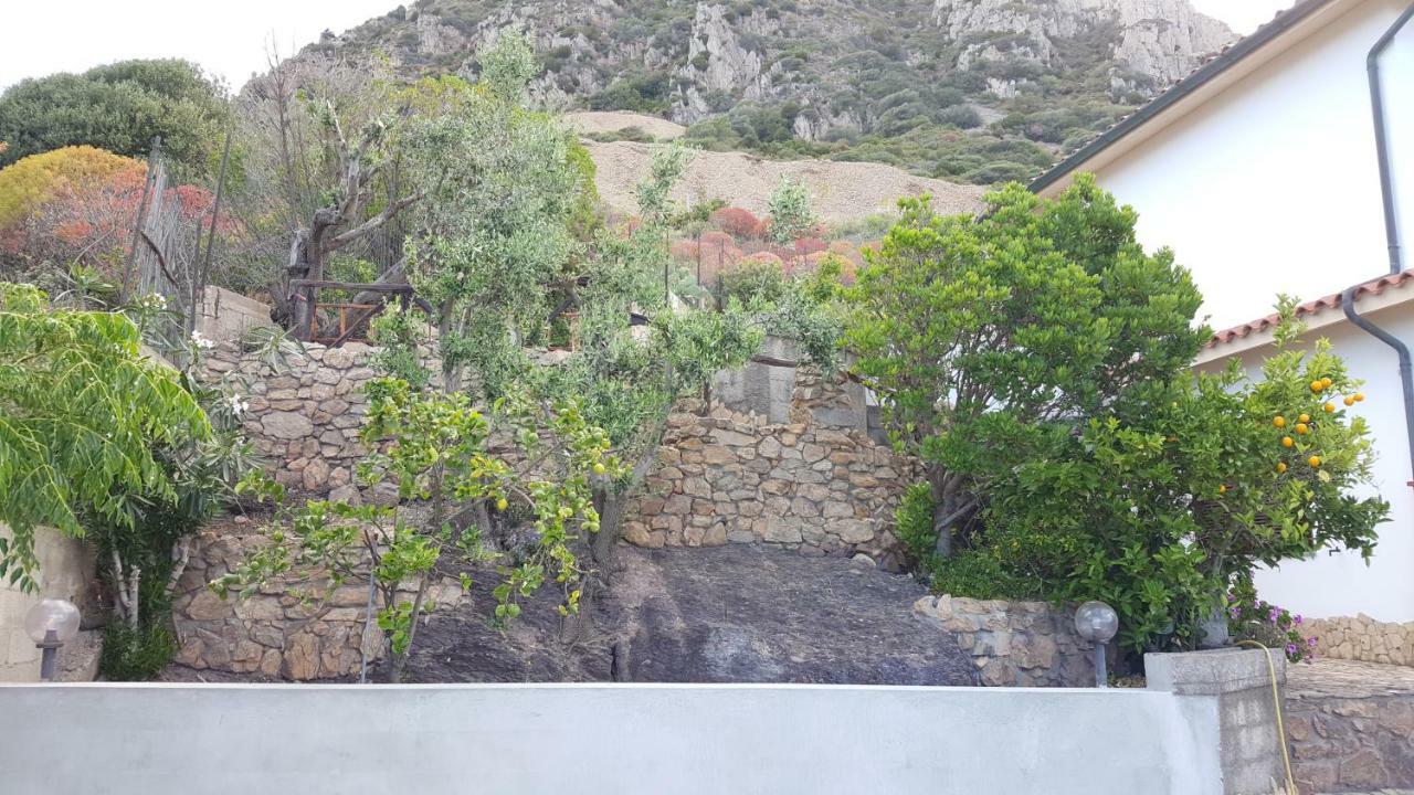 Punta Speranza Villa Nebida Exterior foto